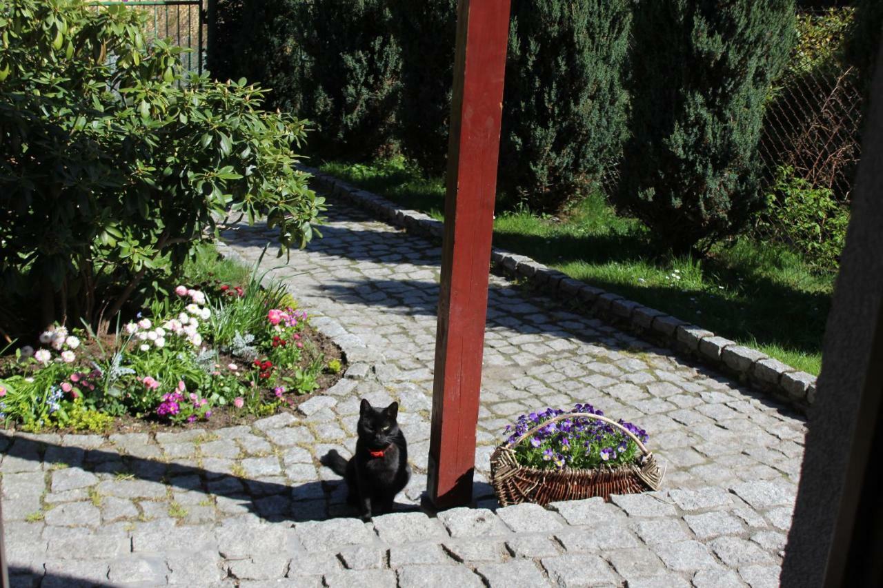 Pokoj Kameralny- De Luxe Z Oddzielnym Wejsciem Karpacz Kültér fotó
